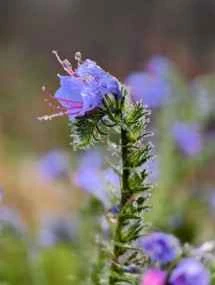 vivo X200 Ultra、アソート - 85mm、f/16.0、ISO 2060、1/762s (3072x4080px) - News 25 12 My Top 5 Ivanレビュー