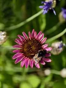 vivo X200 Ultra、アソート - 85mm、f/16.0、ISO 70、1/982s (3072x4080px) - News 25 12 My Top 5 Ivanレビュー