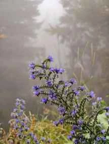 vivo X200 Ultra、アソート - 85mm、f/2.3、ISO 231、1/100秒（3072x4080ピクセル） - News 25 12 私のトップ5 Ivanレビュー