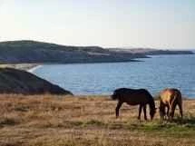 vivo X200 Ultra、アソート - 85mm、f/2.3、ISO 50、1/362秒（4080x3072ピクセル） - News 25 12 私のトップ5 Ivanレビュー