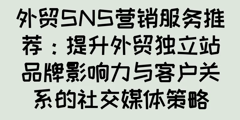 外贸SNS营销服务推荐：提升外贸独立站品牌影响力与客户关系的社交媒体策略