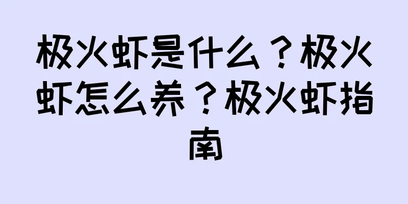 极火虾是什么？极火虾怎么养？极火虾指南