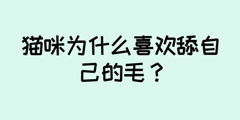 猫咪为什么喜欢舔自己的毛？
