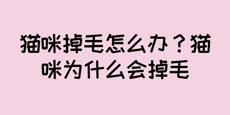 猫咪掉毛怎么办？猫咪为什么会掉毛