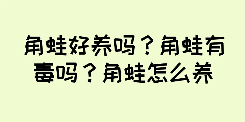角蛙好养吗？角蛙有毒吗？角蛙怎么养