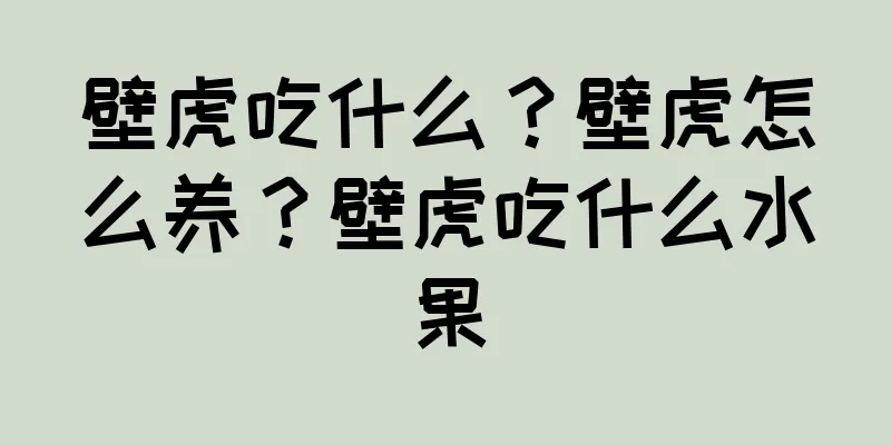 壁虎吃什么？壁虎怎么养？壁虎吃什么水果