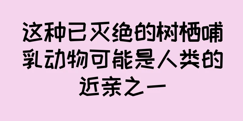 这种已灭绝的树栖哺乳动物可能是人类的近亲之一