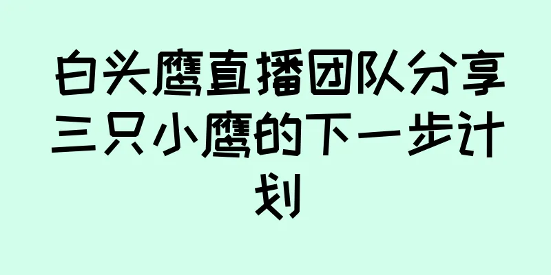 白头鹰直播团队分享三只小鹰的下一步计划