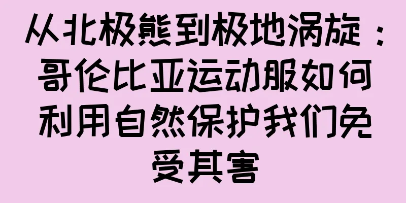 从北极熊到极地涡旋：哥伦比亚运动服如何利用自然保护我们免受其害