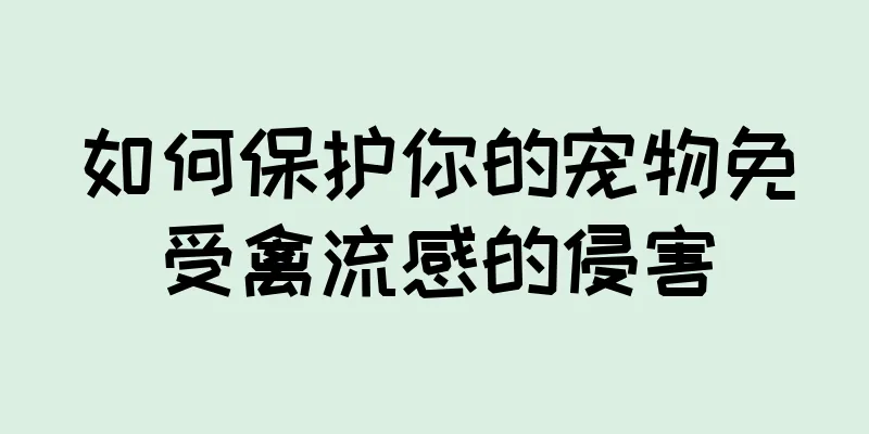 如何保护你的宠物免受禽流感的侵害
