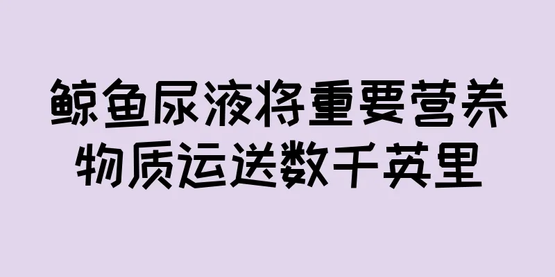 鲸鱼尿液将重要营养物质运送数千英里