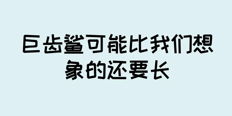 巨齿鲨可能比我们想象的还要长