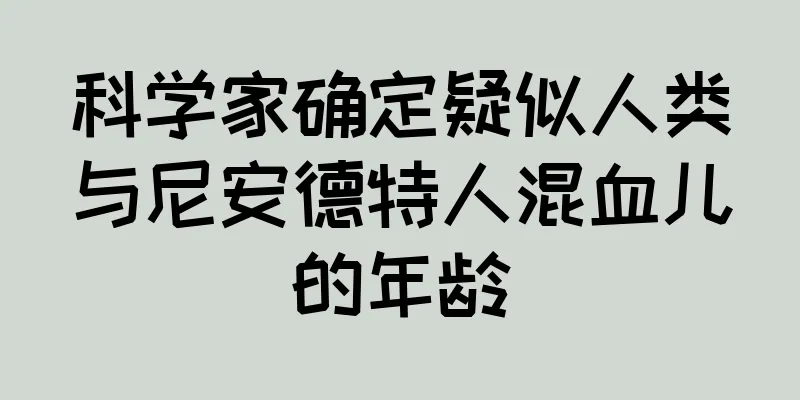 科学家确定疑似人类与尼安德特人混血儿的年龄