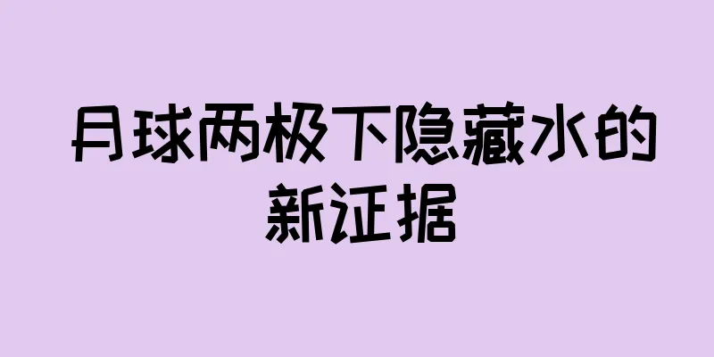 月球两极下隐藏水的新证据