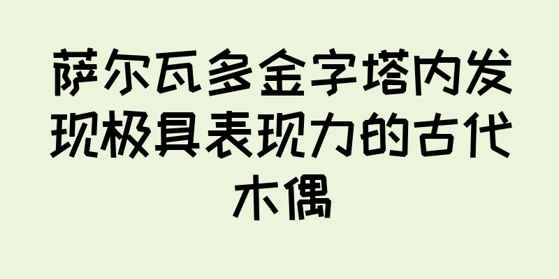 萨尔瓦多金字塔内发现极具表现力的古代木偶