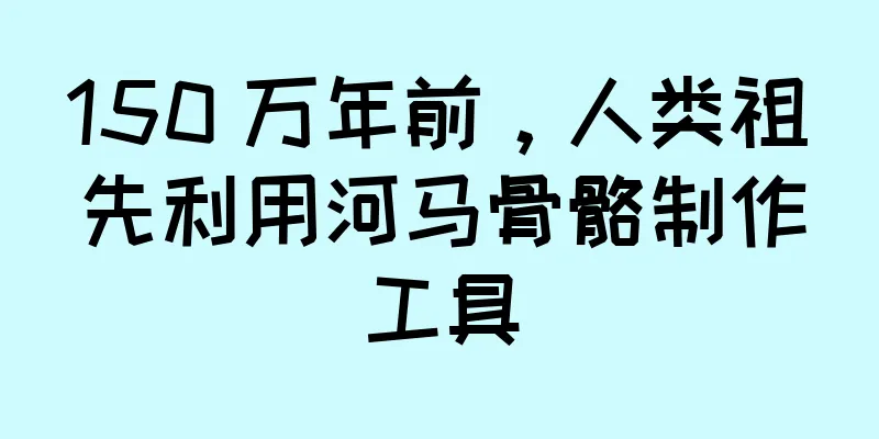 150 万年前，人类祖先利用河马骨骼制作工具