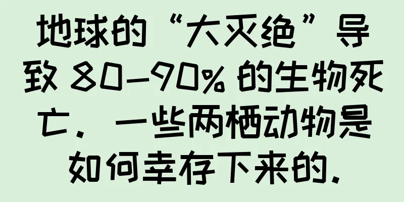 地球的“大灭绝”导致 80-90% 的生物死亡。一些两栖动物是如何幸存下来的。