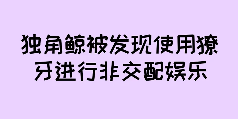 独角鲸被发现使用獠牙进行非交配娱乐