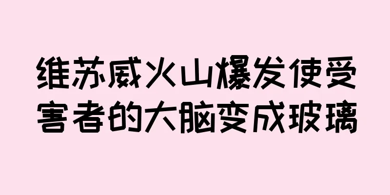 维苏威火山爆发使受害者的大脑变成玻璃