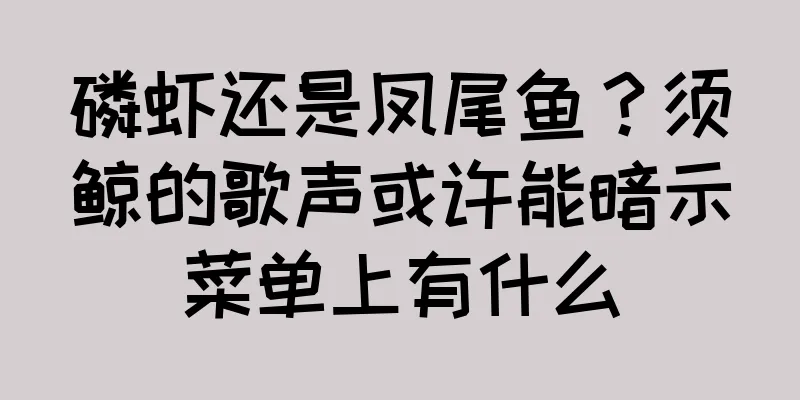 磷虾还是凤尾鱼？须鲸的歌声或许能暗示菜单上有什么
