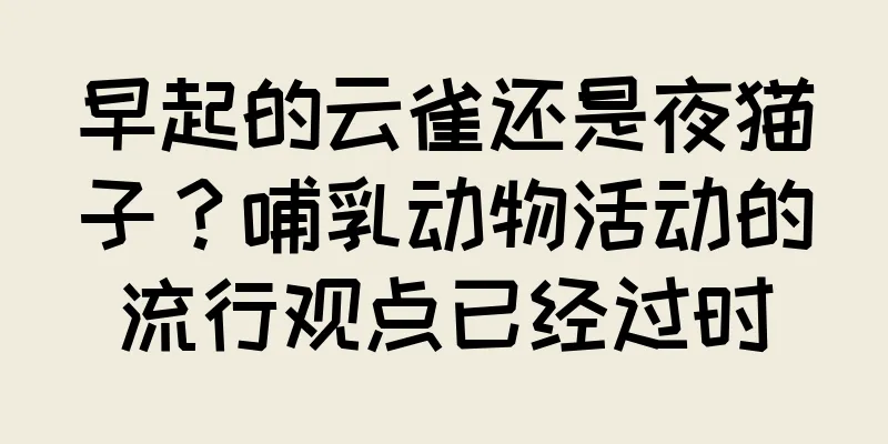 早起的云雀还是夜猫子？哺乳动物活动的流行观点已经过时