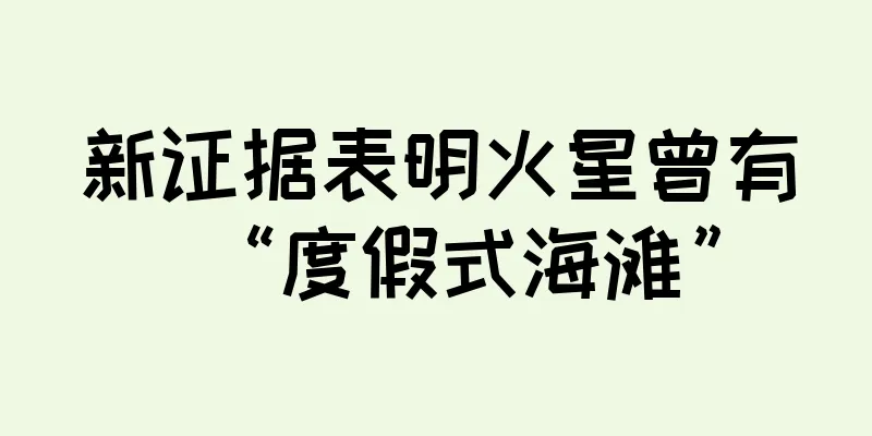 新证据表明火星曾有“度假式海滩”