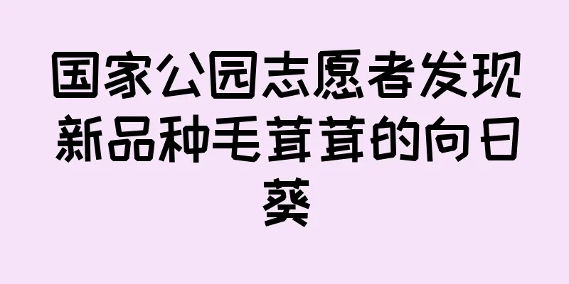 国家公园志愿者发现新品种毛茸茸的向日葵