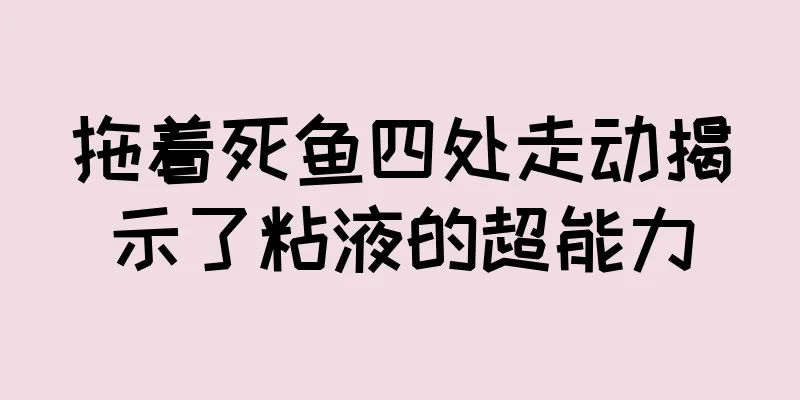拖着死鱼四处走动揭示了粘液的超能力