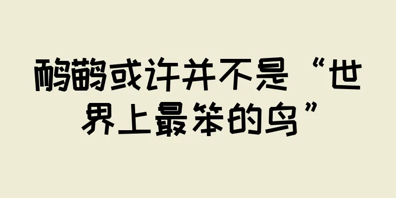 鸸鹋或许并不是“世界上最笨的鸟”