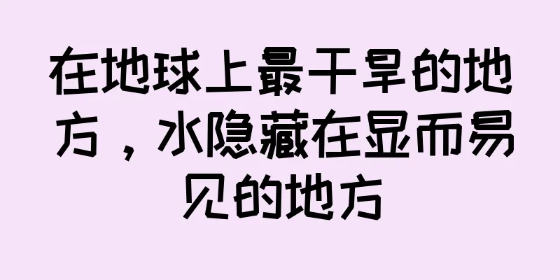 在地球上最干旱的地方，水隐藏在显而易见的地方
