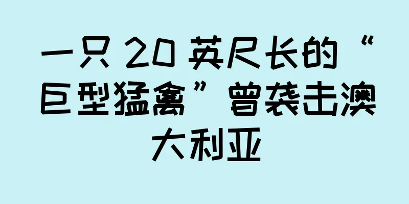 一只 20 英尺长的“巨型猛禽”曾袭击澳大利亚
