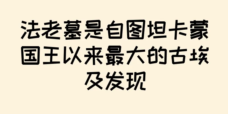 法老墓是自图坦卡蒙国王以来最大的古埃及发现