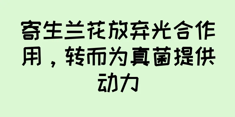 寄生兰花放弃光合作用，转而为真菌提供动力
