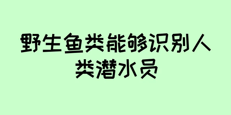 野生鱼类能够识别人类潜水员