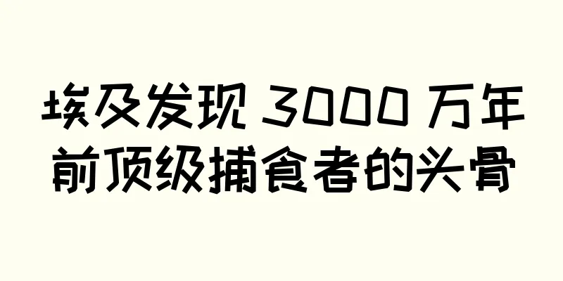 埃及发现 3000 万年前顶级捕食者的头骨