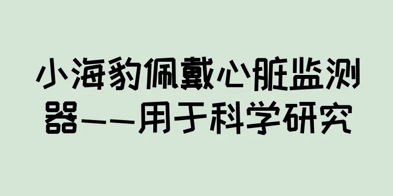 小海豹佩戴心脏监测器——用于科学研究