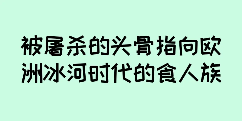 被屠杀的头骨指向欧洲冰河时代的食人族