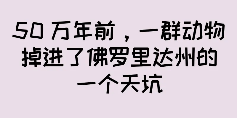 50 万年前，一群动物掉进了佛罗里达州的一个天坑