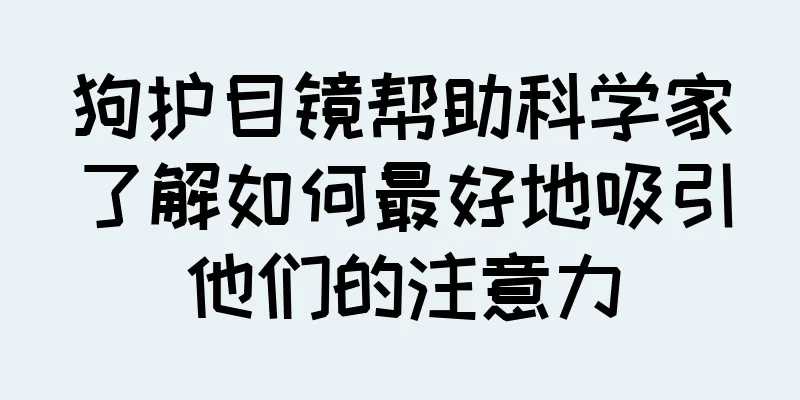 狗护目镜帮助科学家了解如何最好地吸引他们的注意力