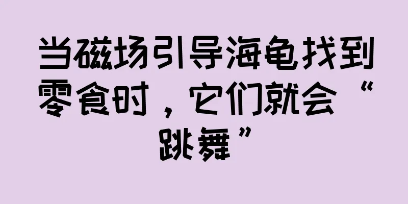 当磁场引导海龟找到零食时，它们就会“跳舞”