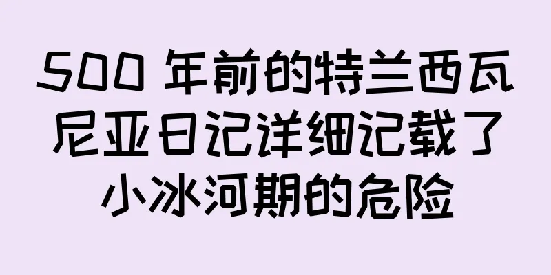 500 年前的特兰西瓦尼亚日记详细记载了小冰河期的危险