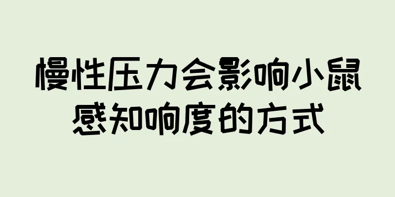 慢性压力会影响小鼠感知响度的方式