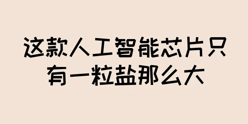 这款人工智能芯片只有一粒盐那么大
