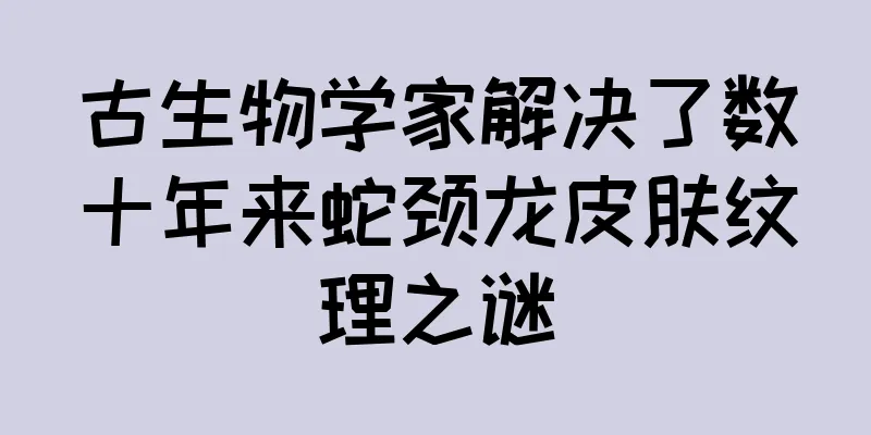 古生物学家解决了数十年来蛇颈龙皮肤纹理之谜