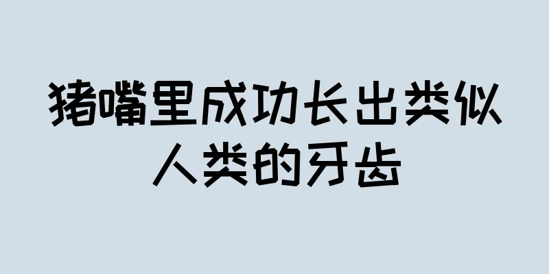 猪嘴里成功长出类似人类的牙齿