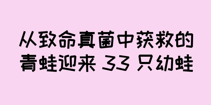 从致命真菌中获救的青蛙迎来 33 只幼蛙
