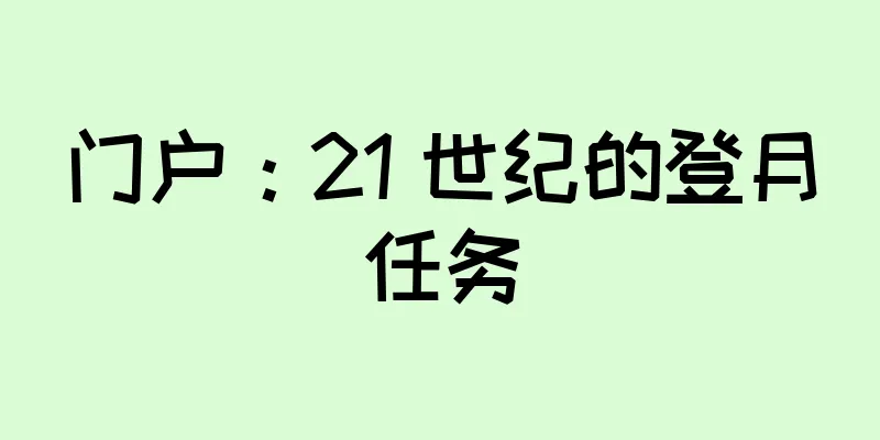 门户：21 世纪的登月任务