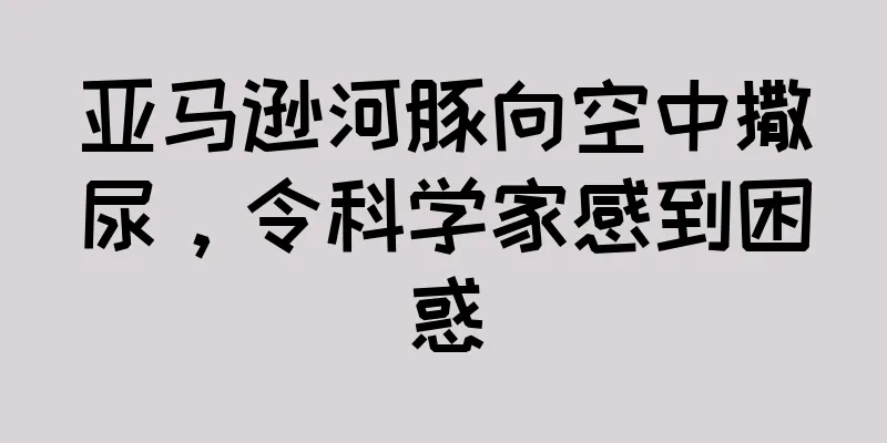 亚马逊河豚向空中撒尿，令科学家感到困惑