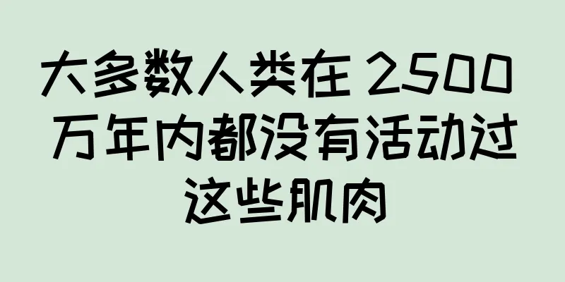 大多数人类在 2500 万年内都没有活动过这些肌肉