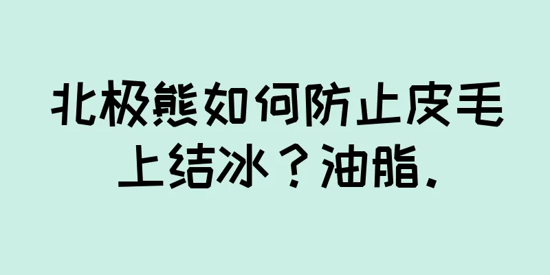 北极熊如何防止皮毛上结冰？油脂。